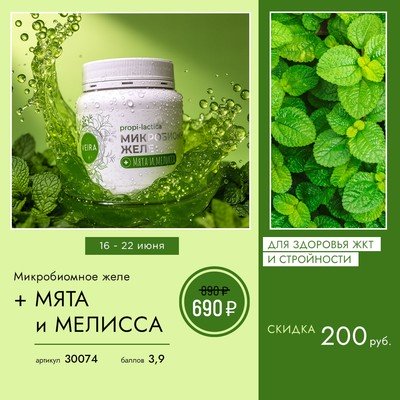Микробиомное желе + Мята и мелисса